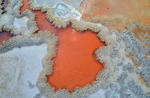 From Auckland, Rotorua Waiotapu and Maori Village Tour with Haka 