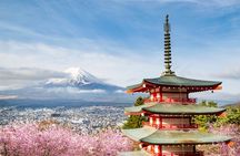 From Tokyo : Mount Fuji Customizable tour in private car