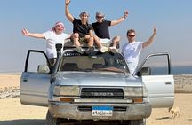 Safari El Fayoum Oasis Waterfalls and Valley of the Whales