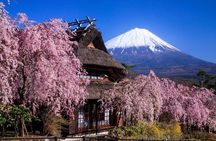 Muslim Friendly Mt. Fuji Tour with Halal Lunch and Prayer Time