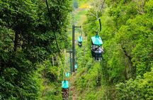 Rainforest Aerial Tram Tour in Jaco, Costa Rica