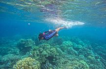 Surin Islands One Day Tour All Exclusive by Power Catamaran