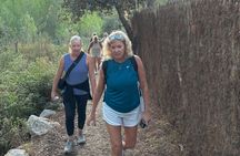 Sunset Hike with Small Picnic