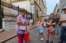 Private 3 Hour Customizable City Tour of Buenos Aires by Car