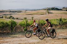 Cortona - eBike tour and wine tasting in the Val di Chiana [+40€]
