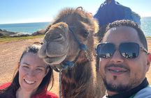 4 Hours Tangier Highlights and Old Town