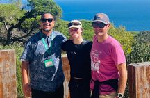 4 Hours Tangier Highlights, Camels and Old Town