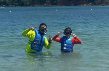 Snorkeling Tour at Cerro Gordo Beach Vega Alta Puerto Rico