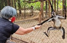 Merida : Uxmal, Chocolate Museum and Cenote with lunch and pick up