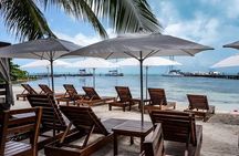 Catamaran Cruise in Riviera Maya with Snorkeling and Lunch