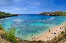 Sights & Bites Ultimate Oahu Grand Circle Island Tour