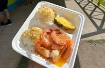 Sights & Bites Ultimate Oahu Grand Circle Island Tour