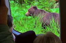 2 Hour Chichagof Island Guided Driving Tour