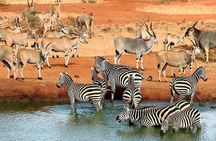 Mombasa Nyali Beach 2-Day Private Tour
