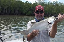 Cairns Estuary Fishing