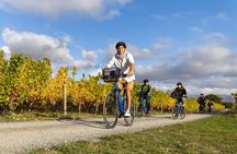 Morning Guided with Afternoon Self-Guided Biking Wine Tour