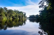 Canoe Tour in Tortuguero Ecological Exploration of the Canals