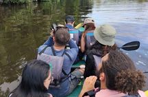 Canoe Tour in Tortuguero Ecological Exploration of the Canals