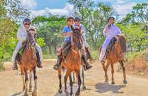 Horseback Riding Excursion to Macao Beach in Punta Cana