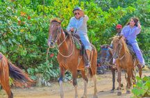 Horseback Riding Excursion to Macao Beach in Punta Cana