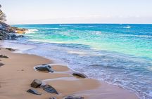 From Puerto Vallarta: Hidden Coves Private Tour 