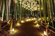 Explore Kyoto | Private Tour - Local English Driver(guide option)