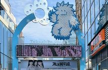 Tokyo Private Tour – Discover the Best of Japan’s Capital