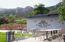 Cape Town Private Tour Table Mountain Penguins and Cape Point