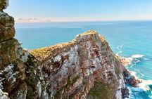 Cape Town Private Tour Table Mountain Penguins and Cape Point