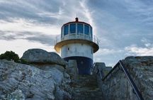 Cape Town Private Tour Table Mountain Penguins and Cape Point
