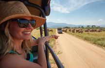 Full Day Big 5 Safari Tour at Aquila Private Game Reserve