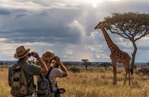 Full Day Big 5 Safari Tour at Aquila Private Game Reserve