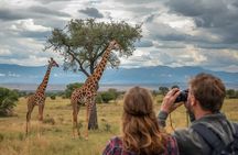 Full Day Big 5 Safari Tour at Aquila Private Game Reserve