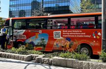 Osaka Wonder Loop Bus E-Pass