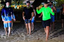 Combo: San Juan Glow Kayak + Salsa Experience at a Luxury Beach 