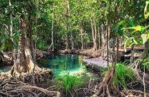 Los Haitises and Cayo Levantado Tour