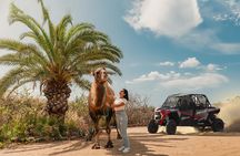 2x1 Combo UTV Side by Side Experience and Camel Ride in Los Cabos