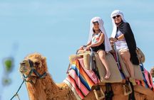 2x1 Combo UTV Side by Side Experience and Camel Ride in Los Cabos