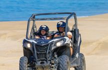 2x1 Combo UTV Side by Side Experience and Camel Ride in Los Cabos