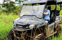 Guided UTV Ride-Along Tour on the Big Island