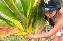 Guided UTV Ride-Along Tour on the Big Island