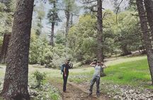 Ifrane Hiking Adventure: Ancient Cedars & Barbary Macaques