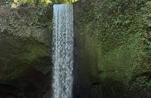 Ubud 4 Waterfall Tour with Private Driver