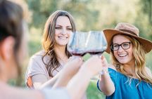 Cousiño Macul Private Vineyard Tour with 6 Wine Tastings