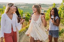 Haras de Pirque Private Vineyard Tour and Wine Tastings