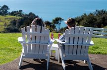 Boutique Waiheke Island Wine, Gin and Food Tour