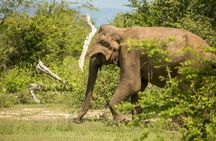 Explore Beyond the Ordinary