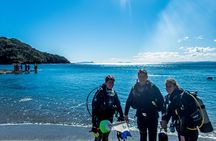 Goat Island Experience Guided Shore Dive