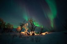 Northern Lights Minibus Chase from Tromso