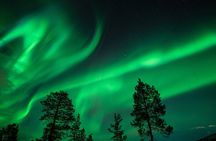 Northern Lights Minibus Chase from Tromso